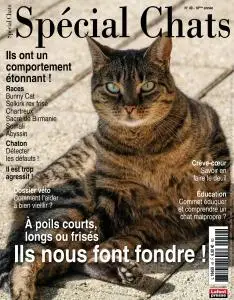 Spécial Chats - Octobre-Décembre 2020