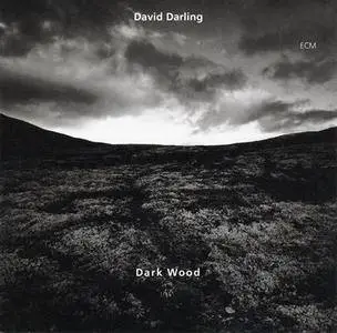 David Darling - Dark Wood (1995) {ECM 1519}