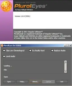 PluralEyes for Edius 6