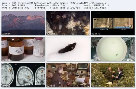 Canabis: The Evil Weed? (2009)