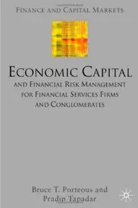 Economic Capital and Financial Risk Management for Financial Services Firms and Conglomerates [Repost]
