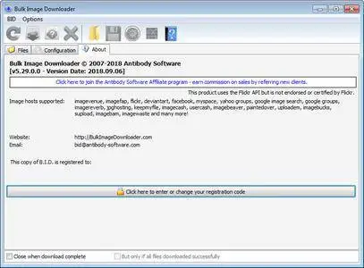 Bulk Image Downloader 5.29.0 Multilingual