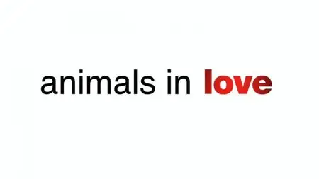 BBC - Animals in Love (2015)