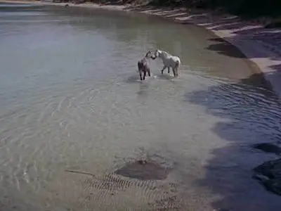 Agnès Varda - Du côté de la côte (1958)