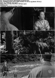 Sword Of The Beast (1965) Criterion Collection [Reuploaded]