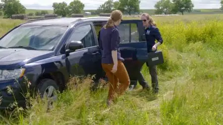 PBS - Prehistoric Road Trip: Series 1 (2020)