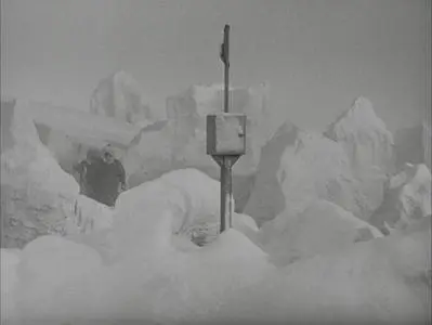 The Beast from 20,000 Fathoms (1953)