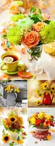 Stock Photo - Color Autumn Flowers