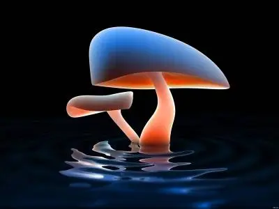 Mushroom Lake Wallpapers