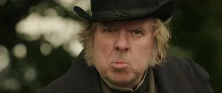Mr. Turner (2014)