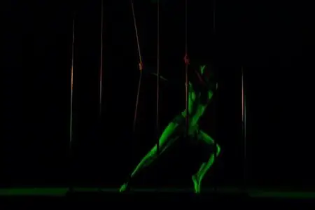 Crazy Horse Le Show (2002)