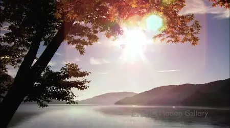 BBC Motion Gallery (2009) [BBC in HD]