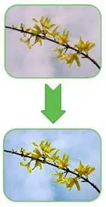 PhotoCleaner Pro v3.2.0.0339