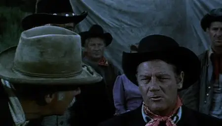 The Tall Stranger (1957)