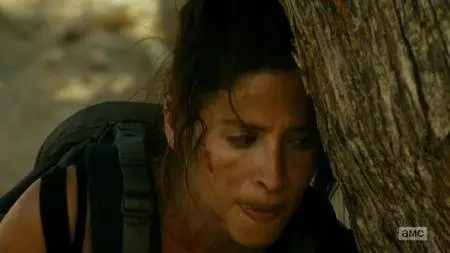 Fear the Walking Dead S02E14 (2016)