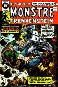 Monstre de Frankenstein (EH) 17