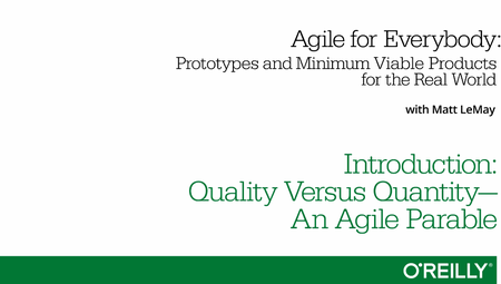 Agile for Everybody—Prototypes and Minimum Viable Products for the Real World