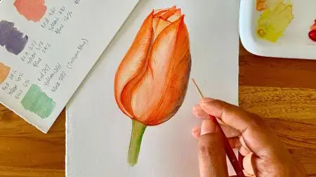 Watercolor Florals for Beginners: Exploring Depth, Color, and Details