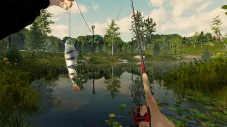 Fishing Adventure Finland Reserve (2023)