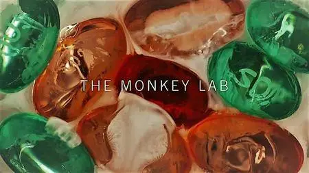 BBC - The Monkey Lab (2017)