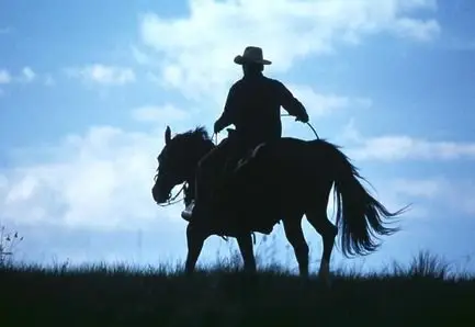 L'homme qui murmurait a l'oreille des chevaux  (1998) 