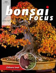 Bonsai Focus (German Edition) - September-Oktober 2021