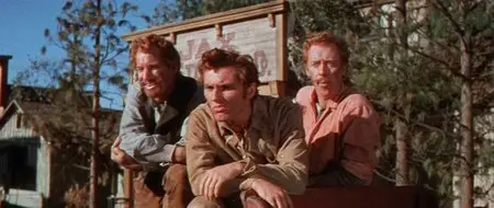 Seven Brides For Seven Brothers (1954)