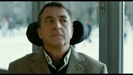 Quasi Amici (2011)