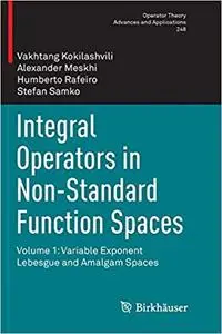 Integral Operators in Non-Standard Function Spaces: Volume 1: Variable Exponent Lebesgue and Amalgam Spaces (Repost)