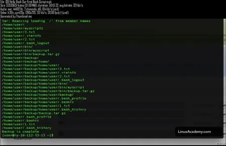 Udemy – Introduction To Bash Scripting and Python 101