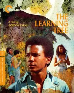 The Learning Tree (1969) [The Criterion Collection]