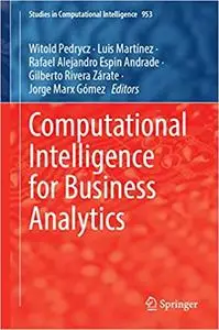 Computational Intelligence for Business Analytics