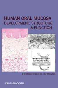 Human Oral Mucosa: Development, Structure and Function