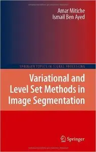 Variational and Level Set Methods in Image Segmentation