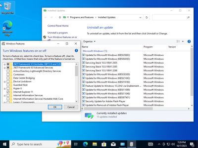 Windows 10 Pro 22H2 build 19045.3516 (x64) Preactivated Multilingual