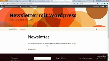 Newsletter mit WordPress 