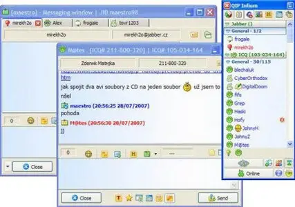 QIP 2010 Build 3966 Portable