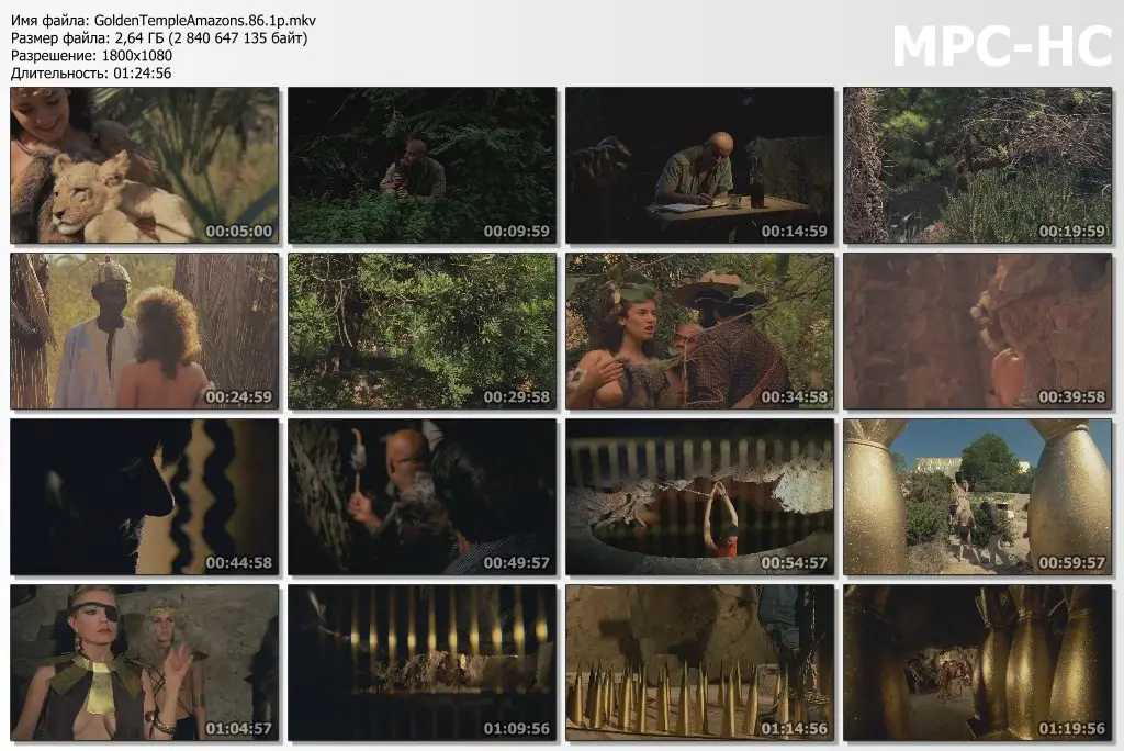 Les Amazones Du Temple D Or Golden Temple Amazons / Les amazones du temple d'or (1986) / AvaxHome