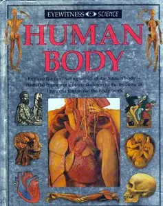 Human Body (DK Eyewitness Science)