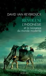 David Van Reybrouck, "Revolusi: L'Indonésie et la naissance du monde moderne"