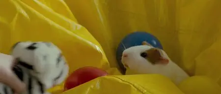We Need to Talk About Kevin (2011)
