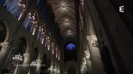 (Fr3) Des racines et des ailes : Les 850 ans de Notre-Dame (2013)