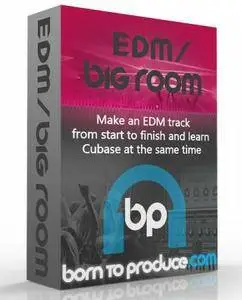 Born To Produce - EDM / Big Room (2016)