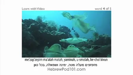 Hebrewpod101