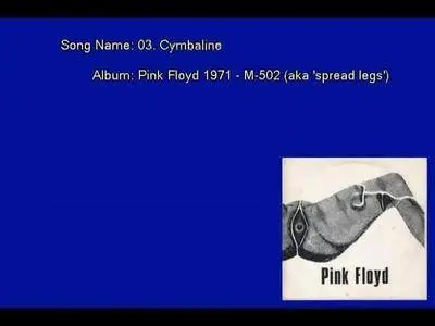 Pink Floyd - M-502 Live in Hamburg (1971) [Vinyl Rip 16/44 & mp3-320 + DVD]