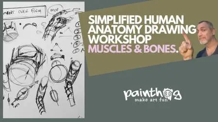 Simplified Human Anatomy Drawing Workshop