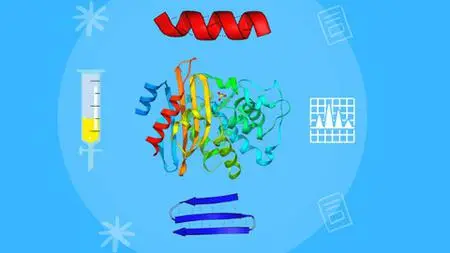 Biochemistry: Learn Amino Acid And Protein Basics