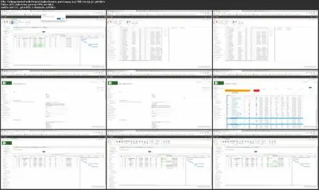 Microsoft Project Management: Choose the Right Tool for the Job