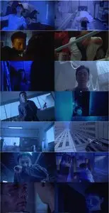 Tokyo Fist (1995)