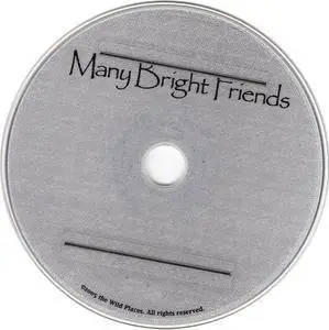 Many Bright Things - Many Bright Friends (2005)